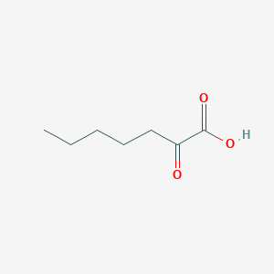 molecular formula C7H12O3 B081482 2-氧代庚酸 CAS No. 13088-48-7