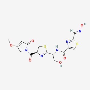 molecular formula C16H17N5O6S2 B8148534 2-[(E)-hydroxyiminomethyl]-N-[2-hydroxy-1-[(4S)-4-(3-methoxy-5-oxo-2H-pyrrole-1-carbonyl)-4,5-dihydro-1,3-thiazol-2-yl]ethyl]-1,3-thiazole-4-carboxamide 