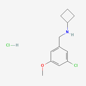 molecular formula C12H17Cl2NO B8148829 N-(3-chloro-5-methoxybenzyl)cyclobutanamine hydrochloride 