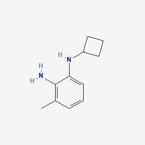 molecular formula C11H16N2 B8148937 N1-cyclobutyl-3-methylbenzene-1,2-diamine 