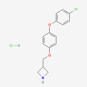molecular formula C16H17Cl2NO2 B8149760 3-((4-(4-Chlorophenoxy)phenoxy)methyl)azetidine hydrochloride 