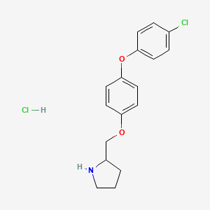 molecular formula C17H19Cl2NO2 B8149775 2-((4-(4-Chlorophenoxy)phenoxy)methyl)pyrrolidine hydrochloride 