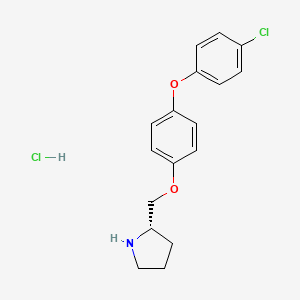 molecular formula C17H19Cl2NO2 B8149779 (S)-2-[4-(4-Chloro-phenoxy)-phenoxymethyl]-pyrrolidine hydrochloride 