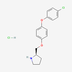 molecular formula C17H19Cl2NO2 B8149785 (R)-2-[4-(4-Chloro-phenoxy)-phenoxymethyl]-pyrrolidine hydrochloride 
