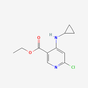 molecular formula C11H13ClN2O2 B8150129 Ethyl 6-chloro-4-(cyclopropylamino)pyridine-3-carboxylate 