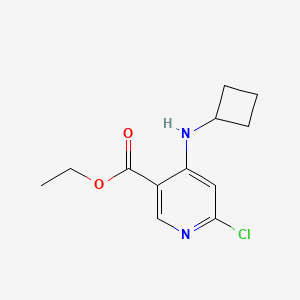 molecular formula C12H15ClN2O2 B8150132 Ethyl 6-chloro-4-(cyclobutylamino)nicotinate 