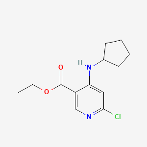 molecular formula C13H17ClN2O2 B8150136 Ethyl 6-chloro-4-(cyclopentylamino)nicotinate 