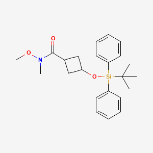 molecular formula C23H31NO3Si B8151400 3-[tert-butyl(diphenyl)silyl]oxy-N-methoxy-N-methylcyclobutanecarboxamide 