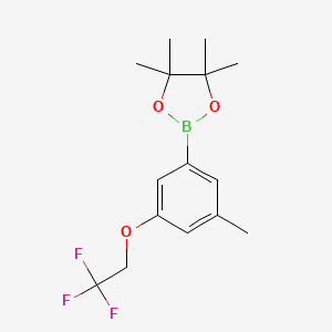 molecular formula C15H20BF3O3 B8152470 4,4,5,5-Tetramethyl-2-(3-methyl-5-(2,2,2-trifluoroethoxy)phenyl)-1,3,2-dioxaborolane 