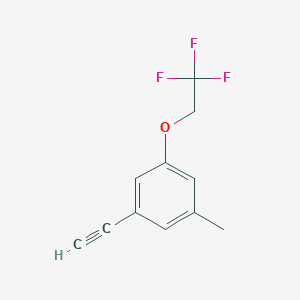 molecular formula C11H9F3O B8152545 1-Ethynyl-3-methyl-5-(2,2,2-trifluoroethoxy)benzene 