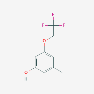 molecular formula C9H9F3O2 B8152547 3-Methyl-5-(2,2,2-trifluoroethoxy)phenol 
