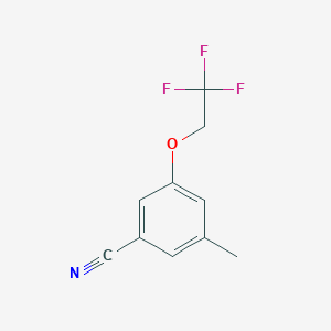 molecular formula C10H8F3NO B8152556 3-Methyl-5-(2,2,2-trifluoroethoxy)benzonitrile 