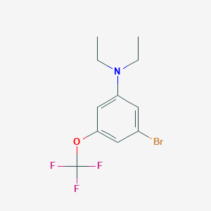 molecular formula C11H13BrF3NO B8152579 3-Bromo-N,N-diethyl-5-(trifluoromethoxy)aniline 