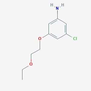 molecular formula C10H14ClNO2 B8152883 3-Chloro-5-(2-ethoxyethoxy)aniline 