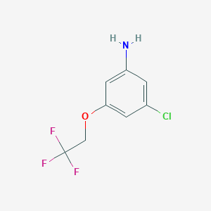 molecular formula C8H7ClF3NO B8152901 3-Chloro-5-(2,2,2-trifluoroethoxy)aniline 