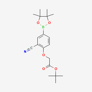 molecular formula C19H26BNO5 B8153290 [2-Cyano-4-(4,4,5,5-tetramethyl-[1,3,2]dioxaborolan-2-yl)-phenoxy]-acetic acid tert-butyl ester 