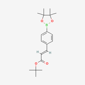 molecular formula C19H27BO4 B8153294 trans 3-[4-(4,4,5,5-Tetramethyl-[1,3,2]dioxaborolan-2-yl)-phenyl]-acrylic acid tert-butyl ester 