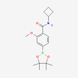 molecular formula C18H26BNO4 B8153505 N-Cyclobutyl-2-methoxy-4-(4,4,5,5-tetramethyl-1,3,2-dioxaborolan-2-yl)benzamide 