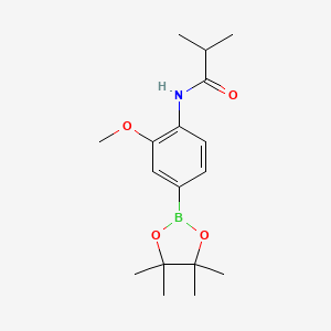 molecular formula C17H26BNO4 B8153507 N-(2-Methoxy-4-(4,4,5,5-tetramethyl-1,3,2-dioxaborolan-2-yl)phenyl)isobutyramide 