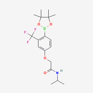 molecular formula C18H25BF3NO4 B8153670 N-isopropyl-2-(4-(4,4,5,5-tetramethyl-1,3,2-dioxaborolan-2-yl)-3-(trifluoromethyl)phenoxy)acetamide 
