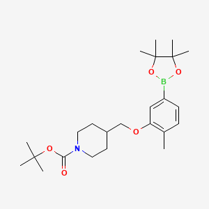 molecular formula C24H38BNO5 B8154351 tert-Butyl 4-((2-methyl-5-(4,4,5,5-tetramethyl-1,3,2-dioxaborolan-2-yl)phenoxy)methyl)piperidine-1-carboxylate 