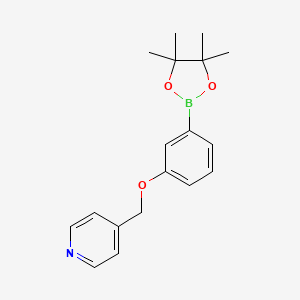 molecular formula C18H22BNO3 B8154401 4-((3-(4,4,5,5-Tetramethyl-1,3,2-dioxaborolan-2-yl)phenoxy)methyl)pyridine 