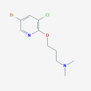 molecular formula C10H14BrClN2O B8154529 3-((5-Bromo-3-chloropyridin-2-yl) oxy)-N, N-dimethylpropan-1-amine 
