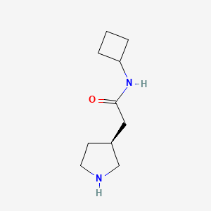 molecular formula C10H18N2O B8154738 (S)-N-Cyclobutyl-2-(pyrrolidin-3-yl)acetamide 