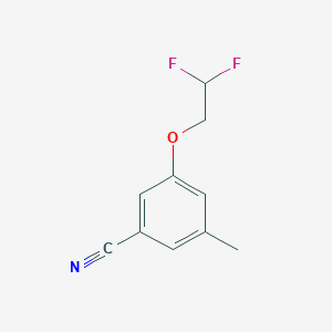 molecular formula C10H9F2NO B8154816 3-(2,2-Difluoroethoxy)-5-methylbenzonitrile 