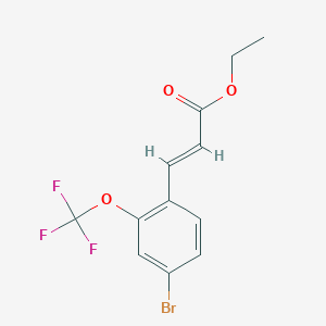 molecular formula C12H10BrF3O3 B8156346 2-(Trifluoromethoxy)-4-bromo-trans-cinnamic acid ethyl ester 