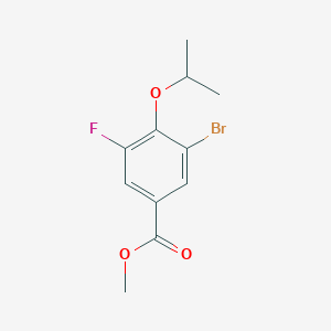 molecular formula C11H12BrFO3 B8156637 Methyl 3-bromo-5-fluoro-4-isopropoxybenzoate 