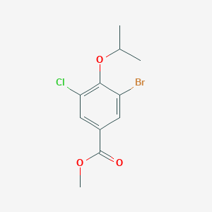 molecular formula C11H12BrClO3 B8156726 Methyl 3-bromo-5-chloro-4-isopropoxybenzoate 