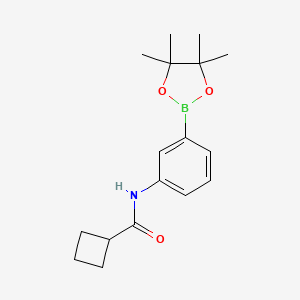 molecular formula C17H24BNO3 B8156821 N-(3-(4,4,5,5-tetramethyl-1,3,2-dioxaborolan-2-yl)phenyl)cyclobutanecarboxamide 