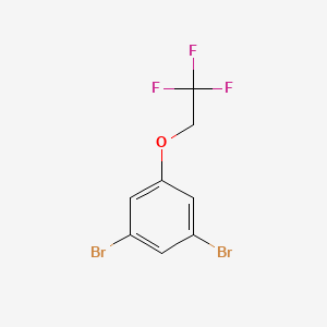 molecular formula C8H5Br2F3O B8156893 1,3-Dibromo-5-(2,2,2-trifluoro-ethoxy)-benzene 