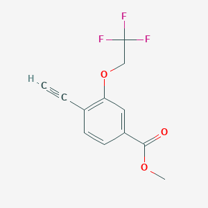 molecular formula C12H9F3O3 B8157498 Methyl 4-ethynyl-3-(2,2,2-trifluoroethoxy)benzoate 
