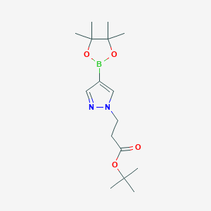 t-Butyl 3-[4-(4,4,5,5-tetramethyl-[1,3,2]dioxaborolan-2-yl)-pyrazol-1-yl]-propionate