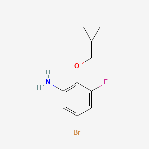 molecular formula C10H11BrFNO B8158239 5-Bromo-2-(cyclopropylmethoxy)-3-fluoroaniline 