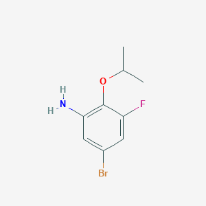 molecular formula C9H11BrFNO B8158263 5-Bromo-3-fluoro-2-isopropoxyaniline 