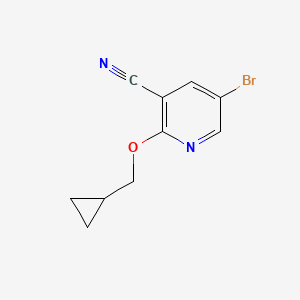molecular formula C10H9BrN2O B8158269 5-Bromo-2-(cyclopropylmethoxy)pyridine-3-carbonitrile 