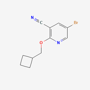 molecular formula C11H11BrN2O B8158284 5-Bromo-2-(cyclobutylmethoxy)pyridine-3-carbonitrile 