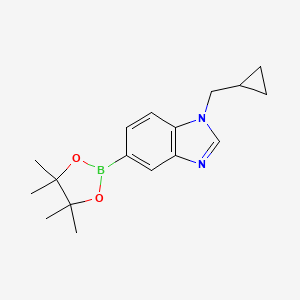 molecular formula C17H23BN2O2 B8158406 1-(Cyclopropylmethyl)-5-(4,4,5,5-tetramethyl-1,3,2-dioxaborolan-2-yl)-1H-benzo[d]imidazole 