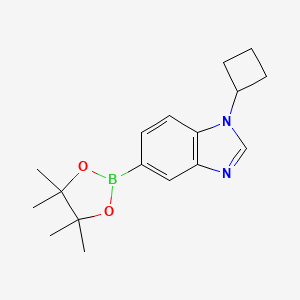 1-Cyclobutyl-5-(4,4,5,5-tetramethyl-1,3,2-dioxaborolan-2-yl)-1H-benzo[d]imidazole