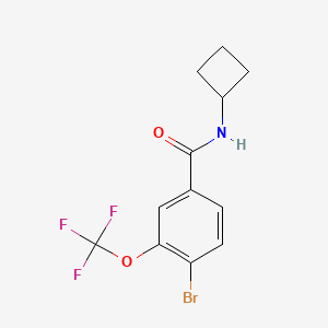 4-Bromo-N-cyclobutyl-3-(trifluoromethoxy)benzamide