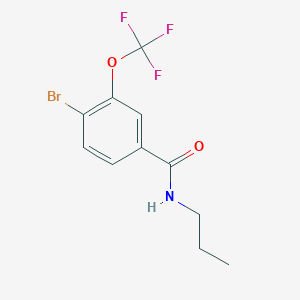 molecular formula C11H11BrF3NO2 B8158455 4-Bromo-N-propyl-3-(trifluoromethoxy)benzamide 