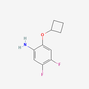 molecular formula C10H11F2NO B8158628 2-Cyclobutoxy-4,5-difluoroaniline 