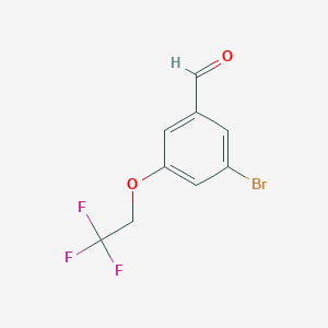 molecular formula C9H6BrF3O2 B8158661 3-Bromo-5-(2,2,2-trifluoroethoxy)benzaldehyde 