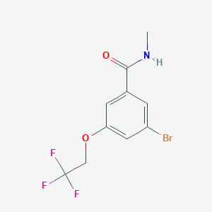 molecular formula C10H9BrF3NO2 B8158674 3-Bromo-N-methyl-5-(2,2,2-trifluoroethoxy)benzamide 