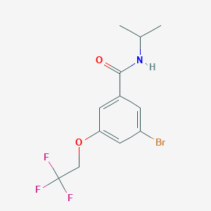 molecular formula C12H13BrF3NO2 B8158692 3-Bromo-N-isopropyl-5-(2,2,2-trifluoroethoxy)benzamide 