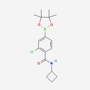 molecular formula C17H23BClNO3 B8158728 2-Chloro-N-cyclobutyl-4-(4,4,5,5-tetramethyl-1,3,2-dioxaborolan-2-yl)benzamide 