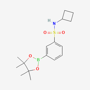 N-Cyclobutyl-3-(4,4,5,5-tetramethyl-1,3,2-dioxaborolan-2-yl)benzenesulfonamide